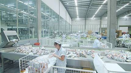 濟南:區縣點燃發展火種,強省會戰略強勢開局