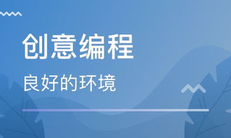 濟南python web服務(wù)器創(chuàng)意編程
